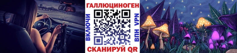закладка Судак даркнет наркотические препараты Галлюциногенные грибы Cubensis блэк спрут